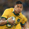 Israel Folau to be fired: rugby world calls out ‘misinformed bigot’ and ‘bully’