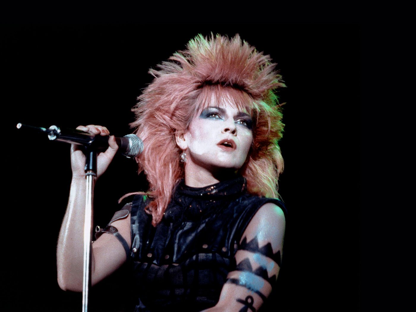 Send us your questions for Toyah Willcox