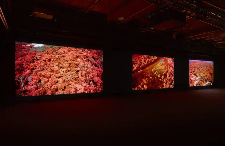 Richard Mosse on the making of Broken Sceptre