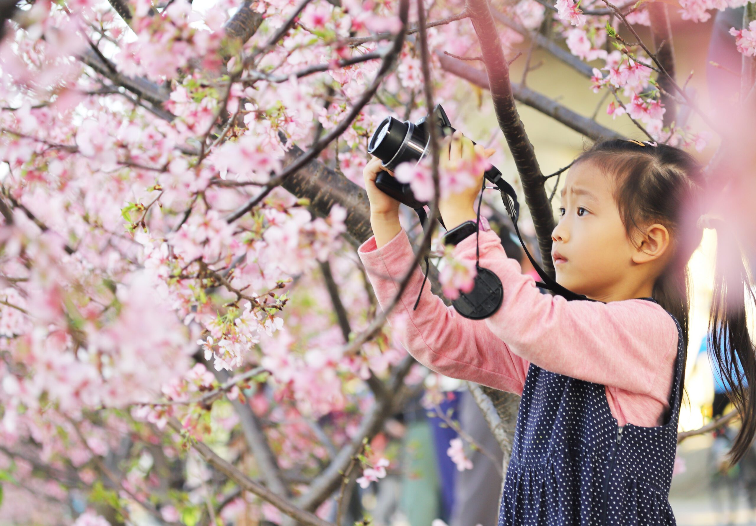 When is the best time to visit Taiwan?